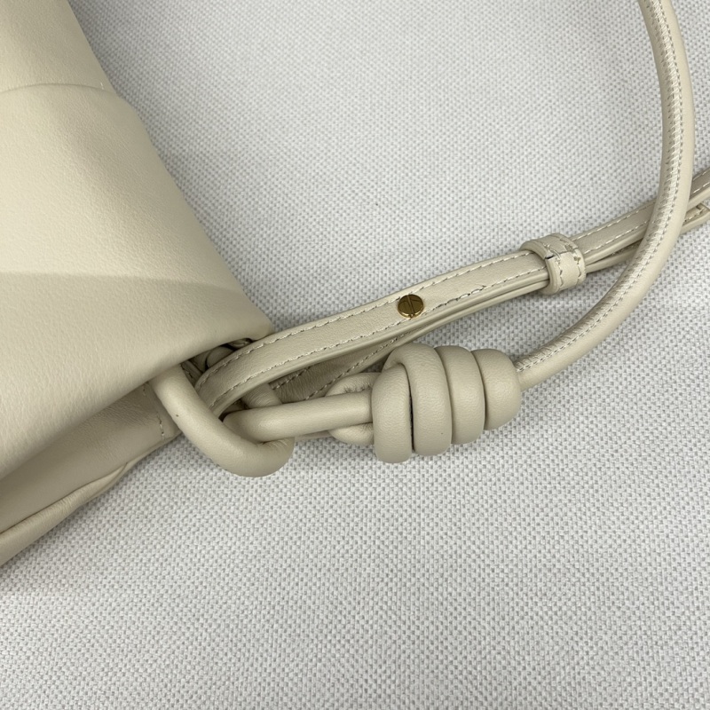 LOEWE Paseo messenger bag