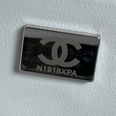CHANEL 24C Star Shoulder bag