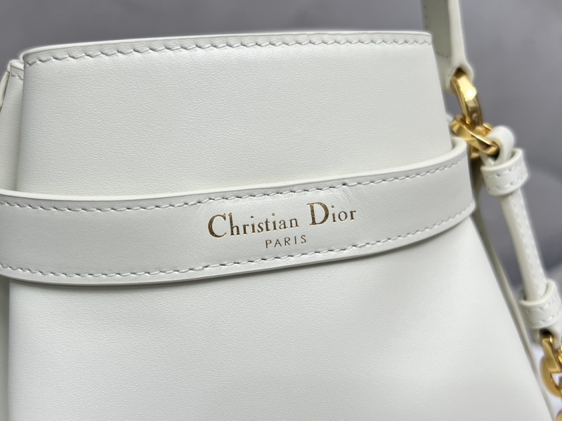 DIOR C'EST DIOR Medium Handbag