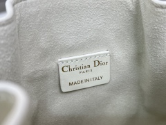 DIOR C'EST DIOR Small Handbag