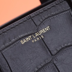 YSL SAINT LAURENT PARIS Mini Bag