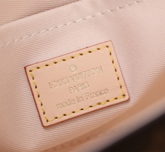LV CLUNY Mini Handbag