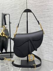 DIOR saddle bag
