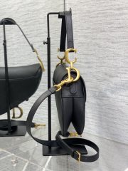 DIOR saddle bag