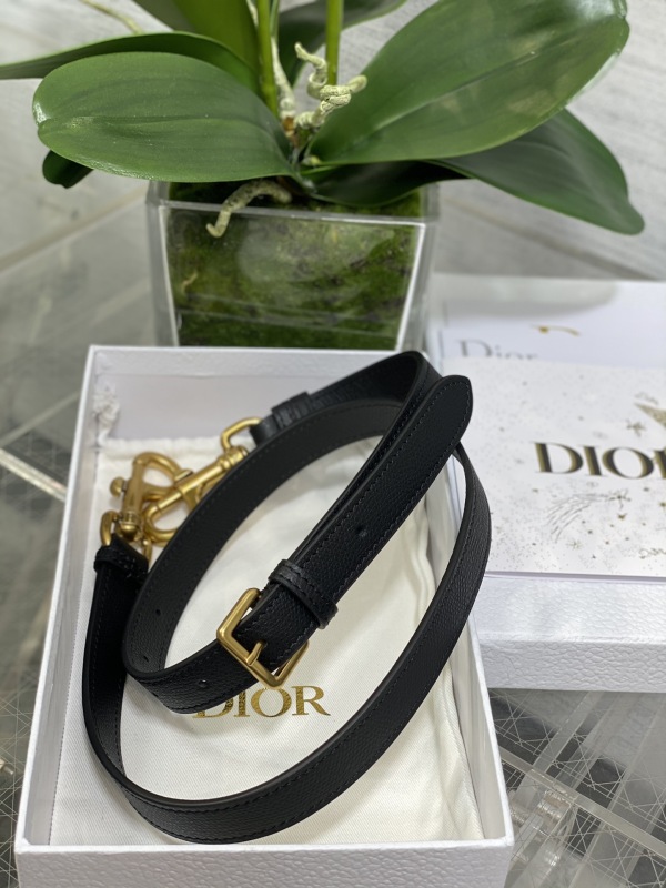 DIOR saddle bag