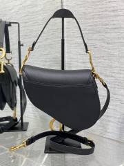 DIOR saddle bag