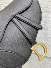 DIOR saddle bag