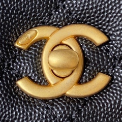 CHANEL COCO HANDLE Cover handbag