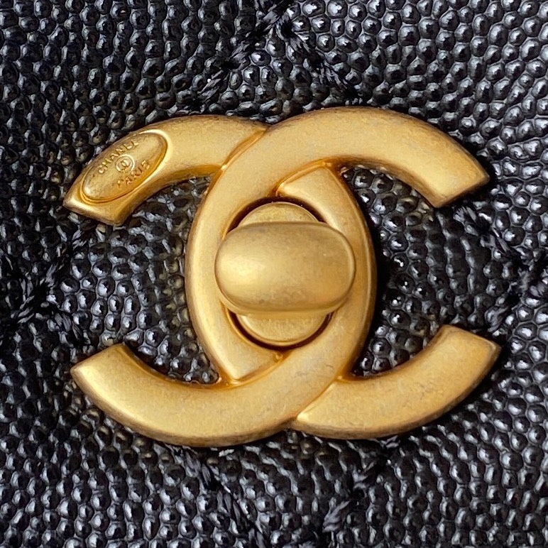 CHANEL COCO HANDLE Cover handbag