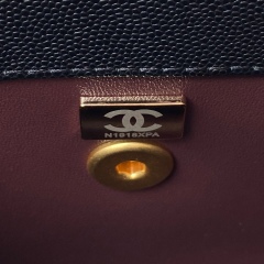 CHANEL COCO HANDLE Cover handbag