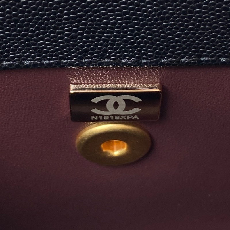 CHANEL COCO HANDLE Cover handbag