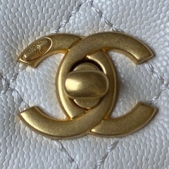 CHANEL COCO HANDLE Cover handbag