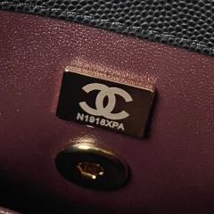 CHANEL COCO HANDLE Mini Cover handbag