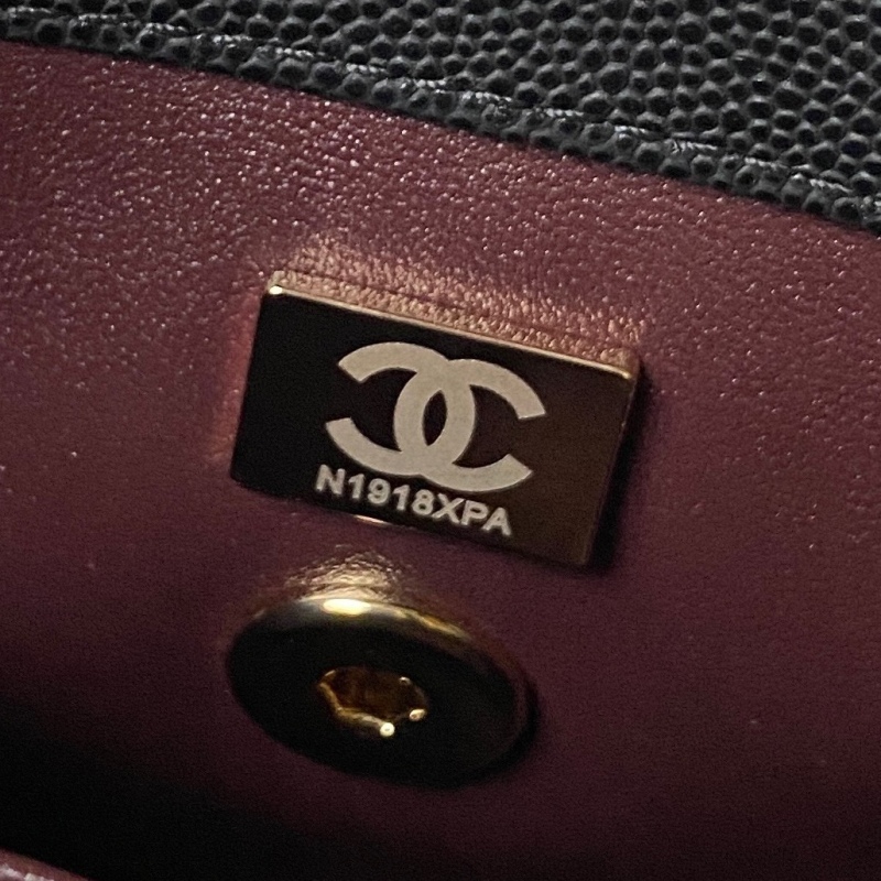 CHANEL COCO HANDLE Mini Cover handbag