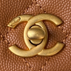CHANEL COCO HANDLE Cover handbag