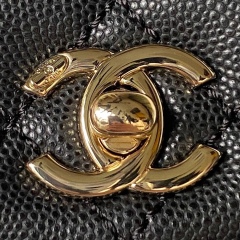 CHANEL COCO HANDLE Mini Cover handbag