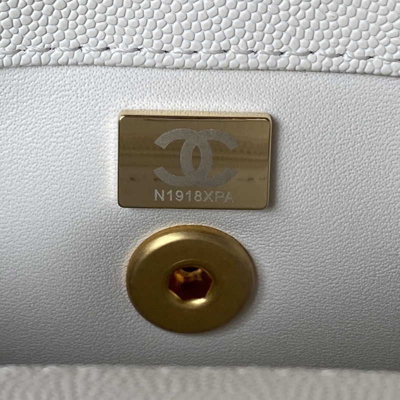 CHANEL COCO HANDLE Cover handbag