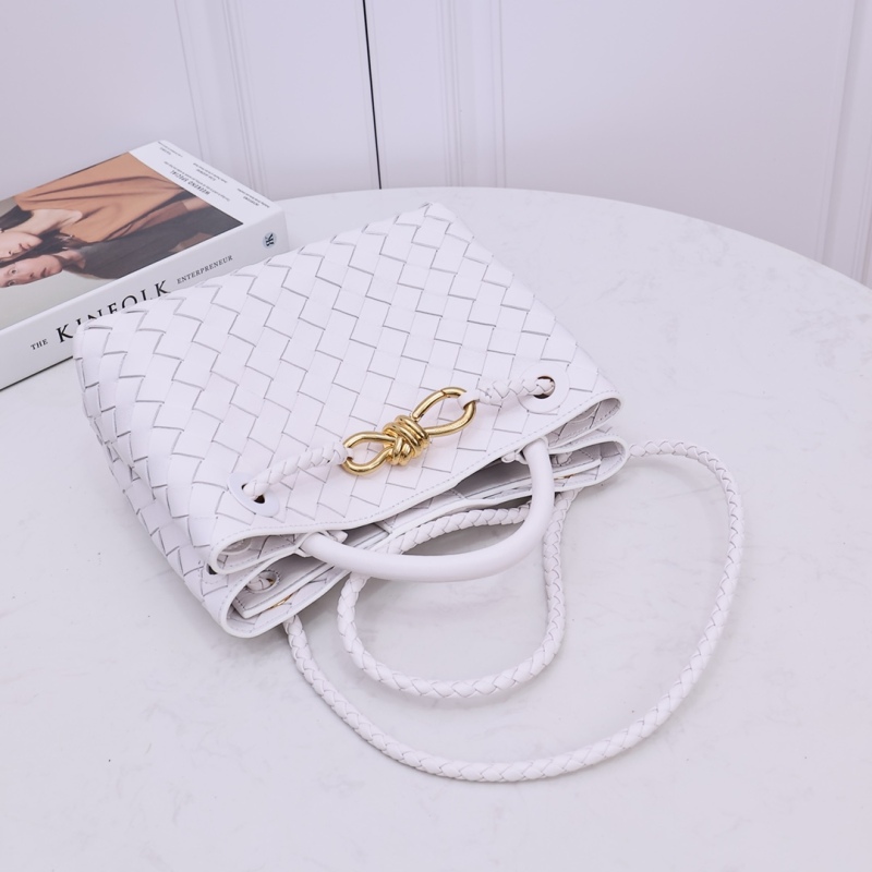 BOTTEGA VENETA Small Andiamo handbag
