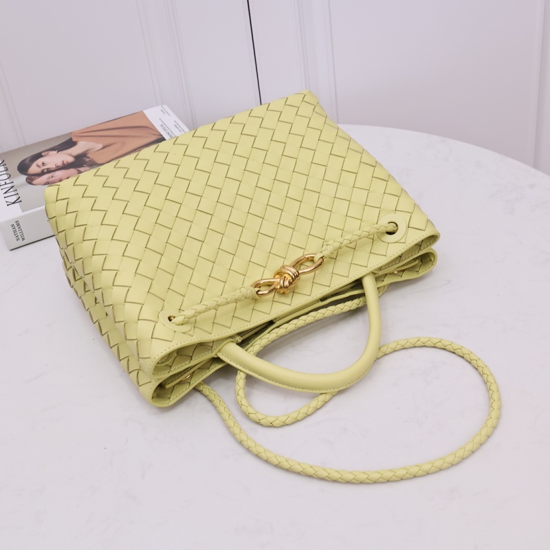 BOTTEGA VENETA Small Andiamo handbag