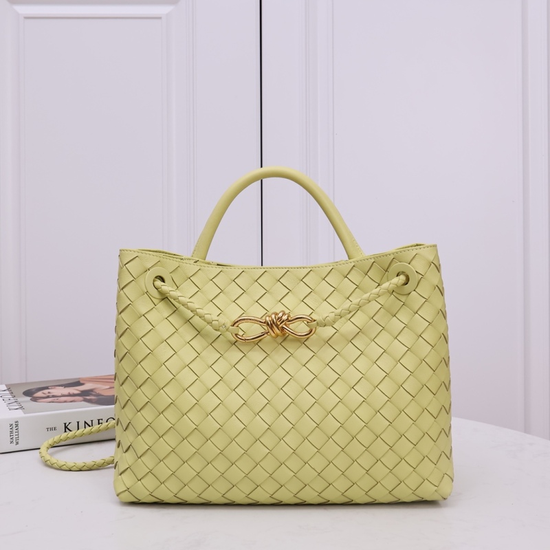 BOTTEGA VENETA Small Andiamo handbag