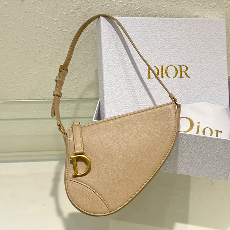 DIOR Saddle handbag