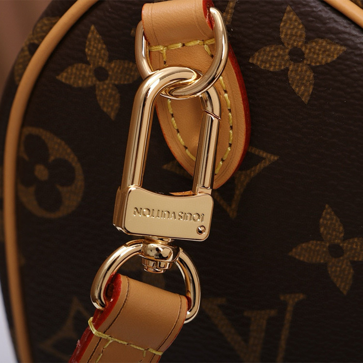 LV SPEEDY BANDOULIÈRE 20 Handbag