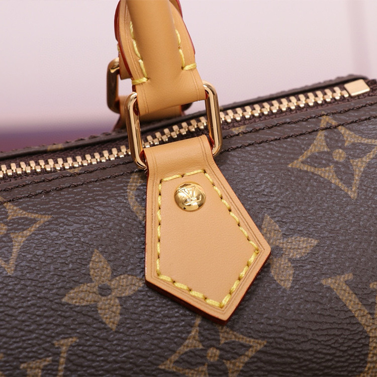 LV SPEEDY BANDOULIÈRE 20 Handbag