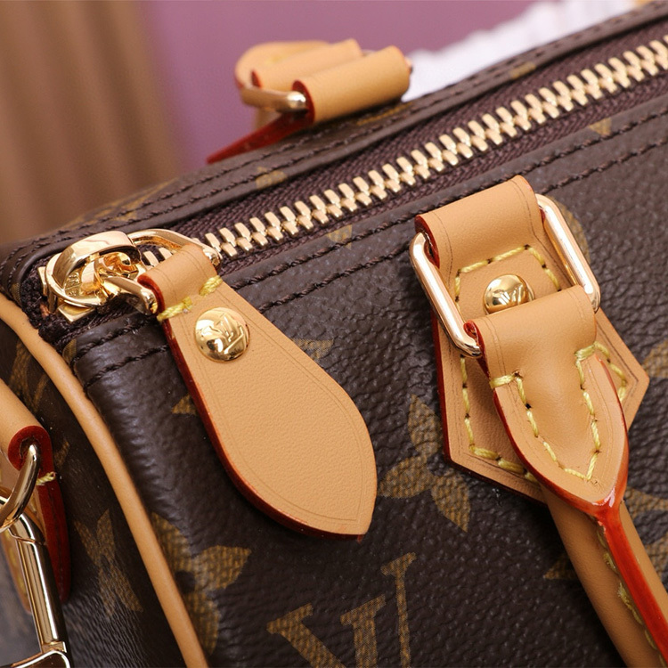 LV SPEEDY BANDOULIÈRE 20 Handbag