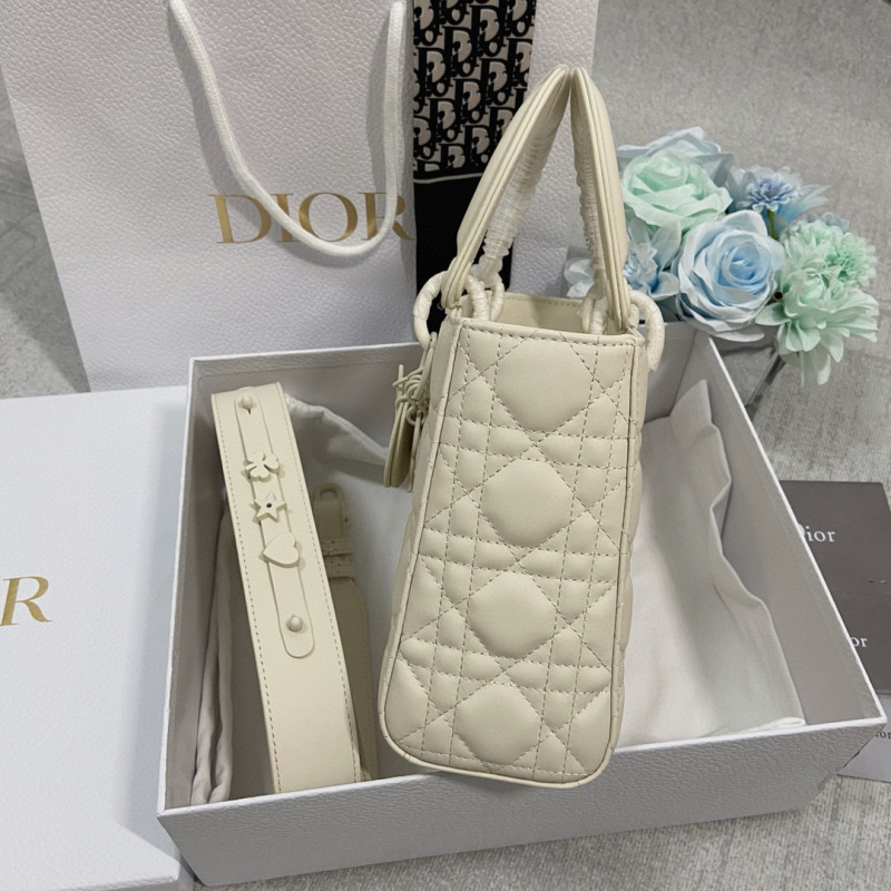 Small Size Lady Dior My ABCDior Frosted cowhide Handbag 20CM