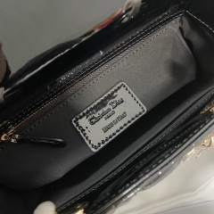 Small Size Lady Dior My ABCDior Handbag 20CM