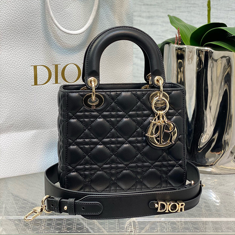 Small Size Lady Dior My ABCDior Sheep leather Handbag 20CM