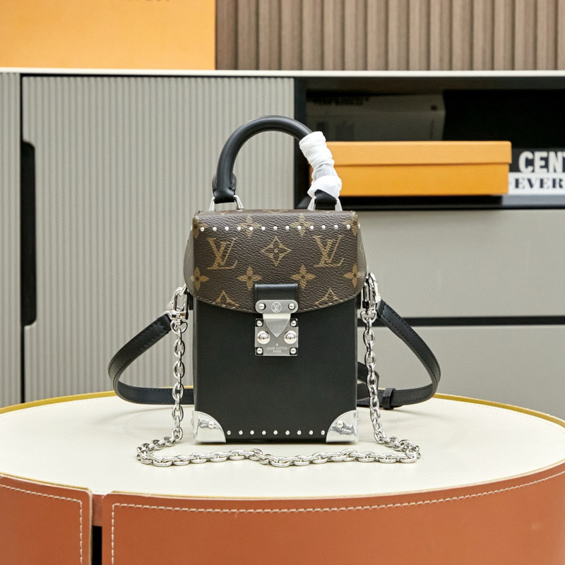 LV  CAMERA BOX  BAG