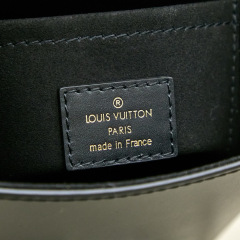 LV  CAMERA BOX  BAG