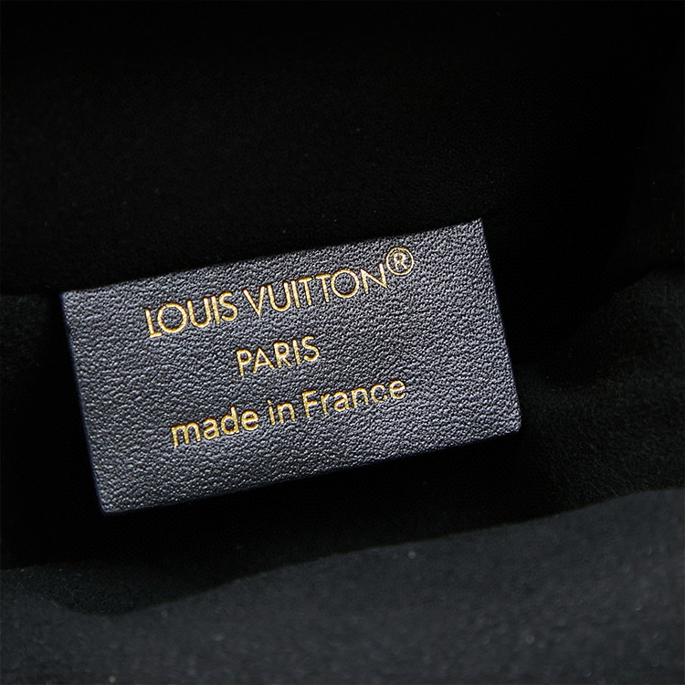 LV Slim Trunk Shoulder Bag