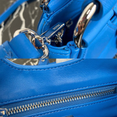 PRADA Moon Bag