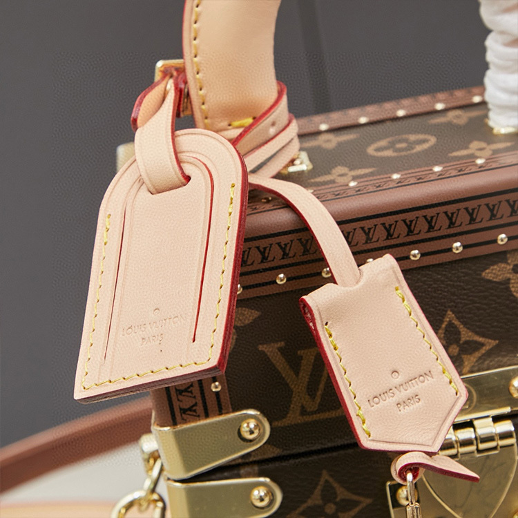 LV Camera Box Bag