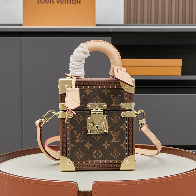 LV Camera Box Bag
