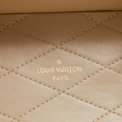 LV Camera Box Bag