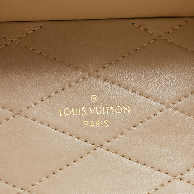 LV Camera Box Bag