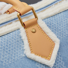 LV Speedy 40 Bandoulière Handbag