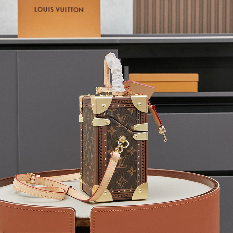 LV Camera Box Bag