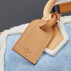 LV Speedy 40 Bandoulière Handbag