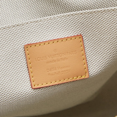 LV Speedy 40 Bandoulière Handbag
