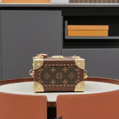 LV Camera Box Bag