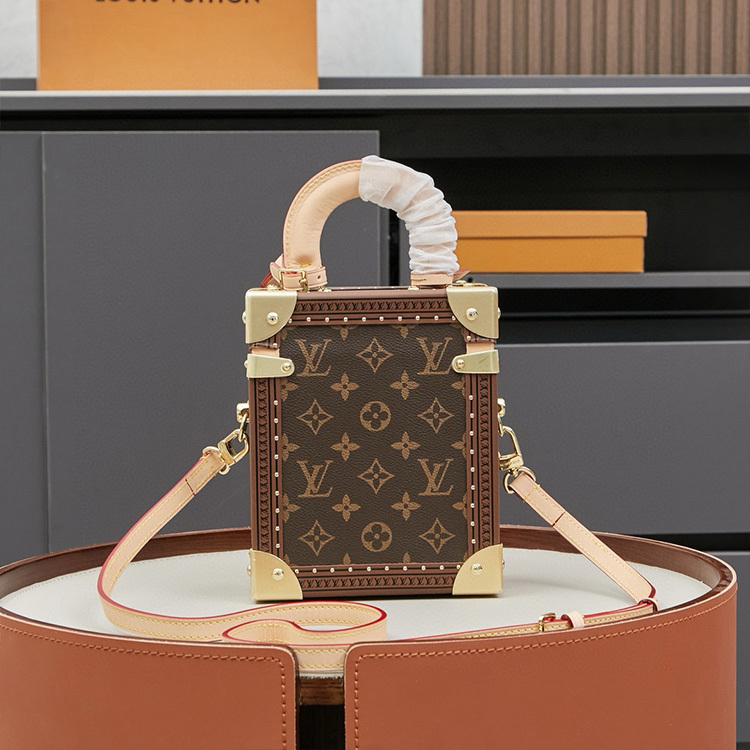 LV Camera Box Bag