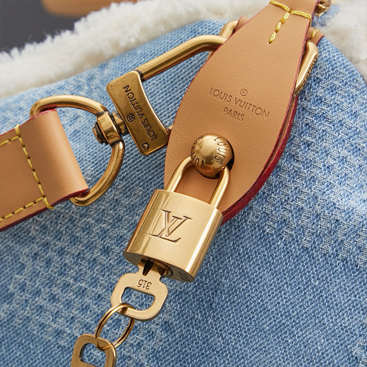 LV Speedy 40 Bandoulière Handbag