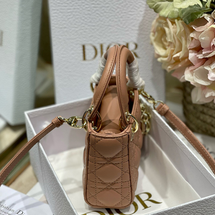 DIOR LADY MICRO BAG
