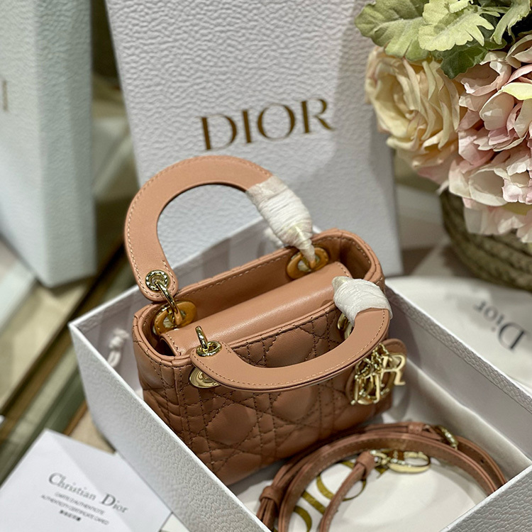 DIOR LADY MICRO BAG