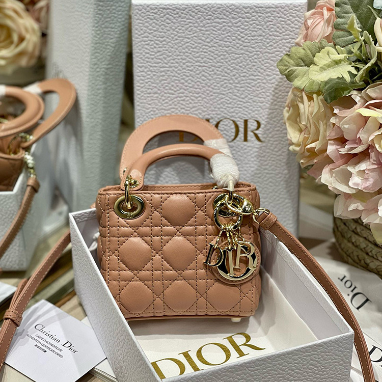 DIOR LADY MICRO BAG