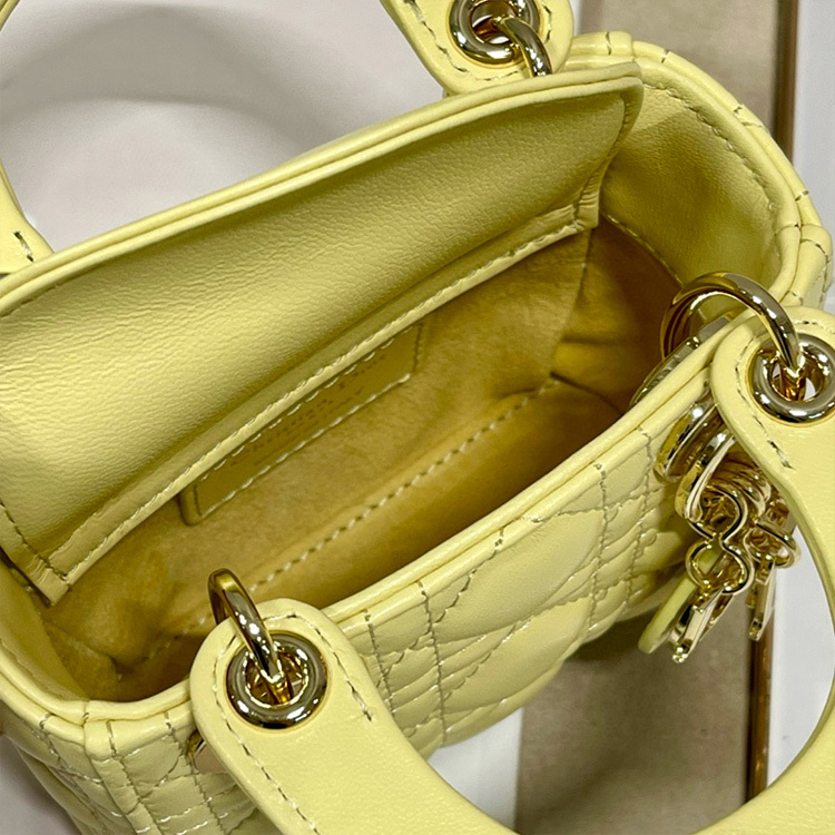 DIOR LADY MICRO BAG